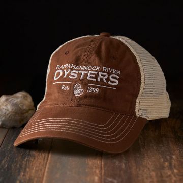 Distressed Ball Cap